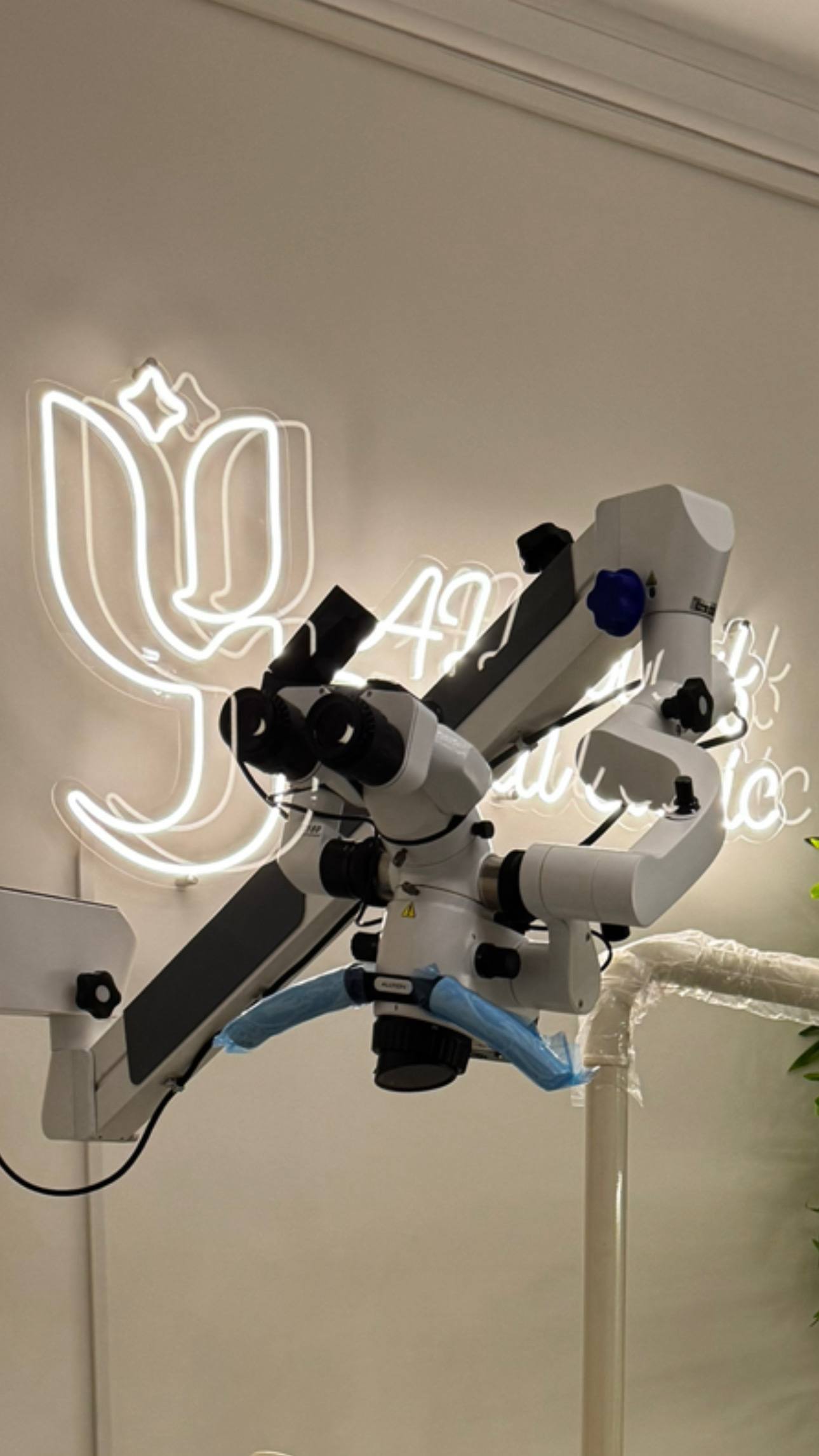 منطقة الاستقبال